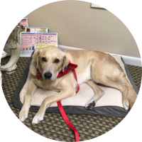 Oliver-Pic-e1577985844695